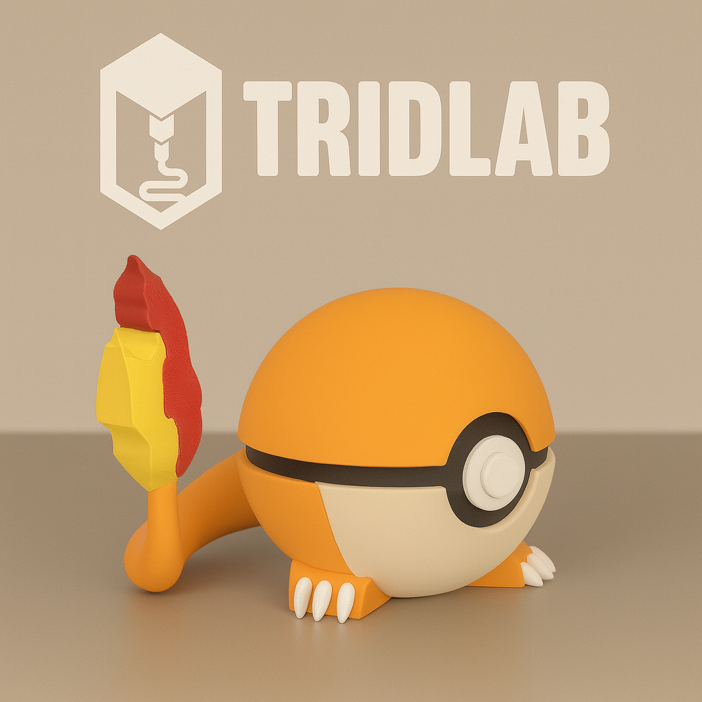 🔥 Pokébola Charmander