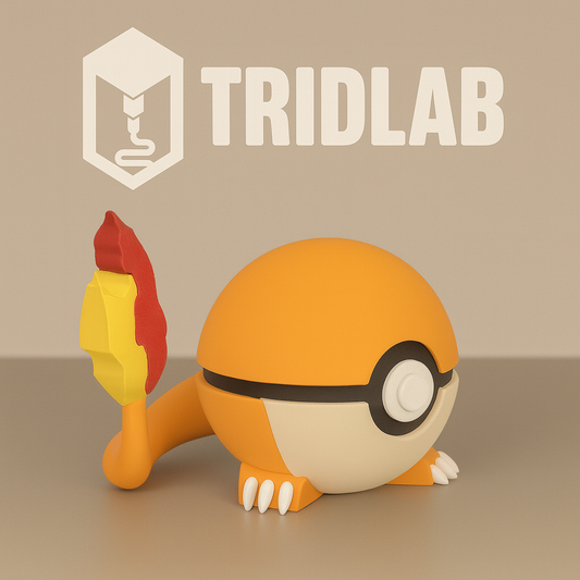 🔥 Pokébola Charmander