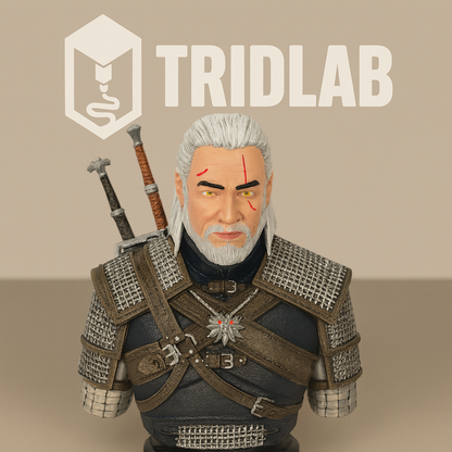 ⚔ Busto The Witcher