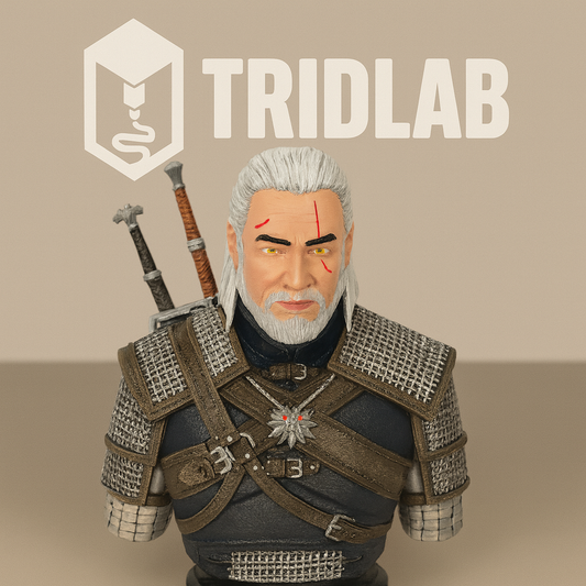 ⚔ Busto The Witcher