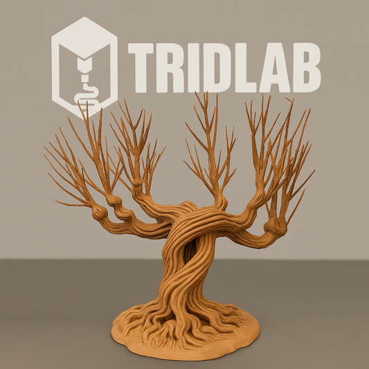 🌳 Salgueiro Lutador