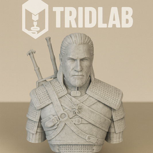 ⚔ Busto The Witcher