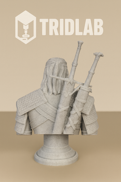 ⚔ Busto The Witcher